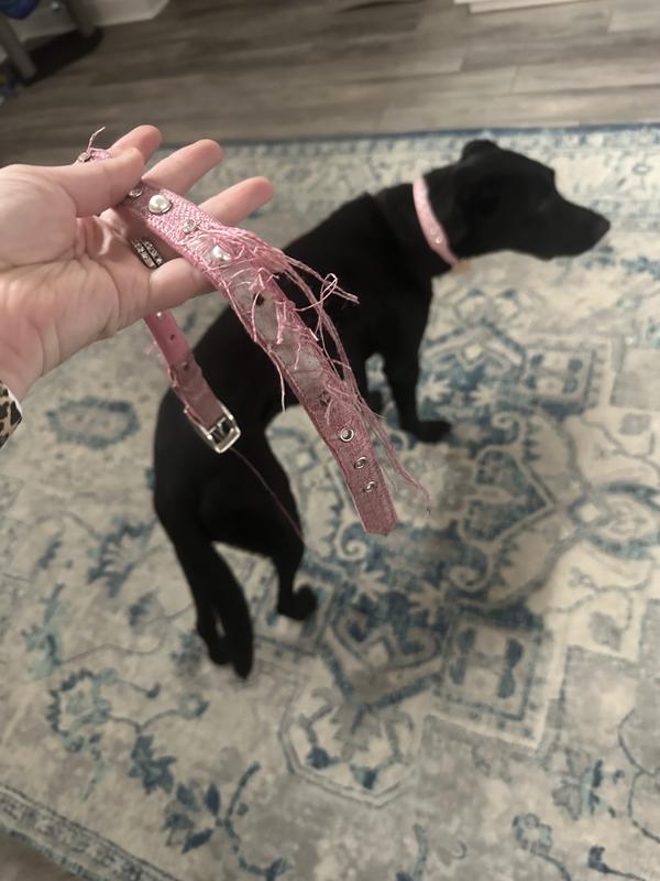 Pink tweed best sale dog harness