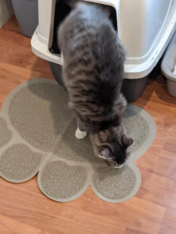 Cleanhouse Pets Cat Litter Mat (XL Size) - Non-Slip, Durable, Easy