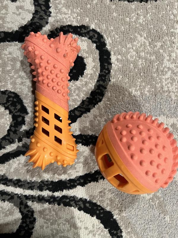 Pet Life 'Denta-Bone' TPR Treat Dispensing and Dental Cleaning Durable Dog Toy - Orange