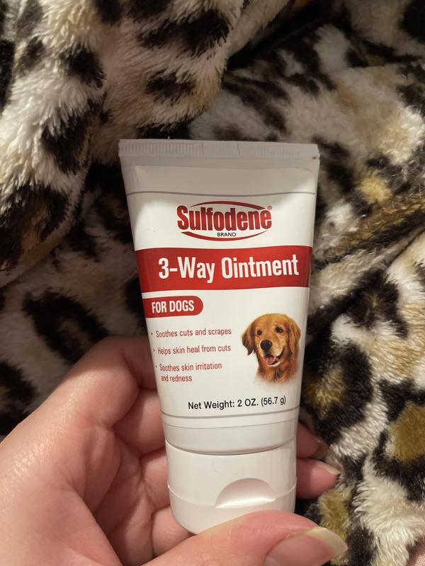 Antimicrobial cream for dogs best sale