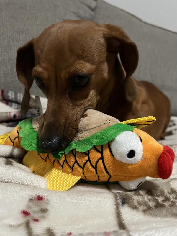 Bark Eduardo The Shrimp Taco Dog Toy : Target