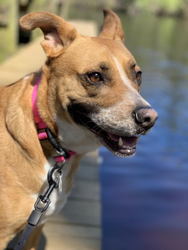 Photo - commentaire 3.