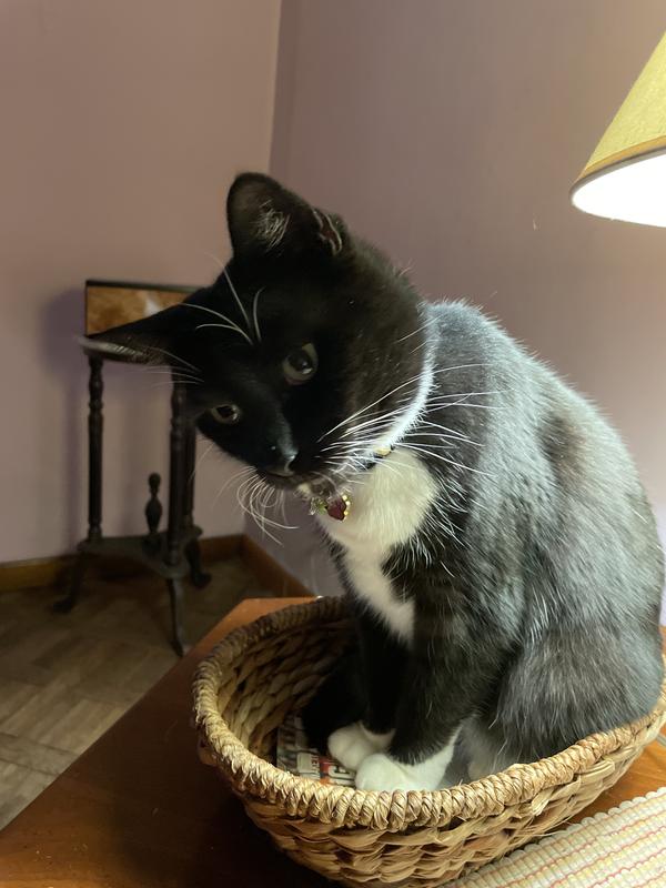 Photo - commentaire&nbsp;3.