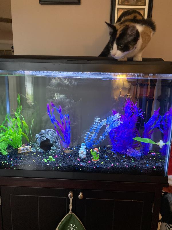 Great tank all from petco