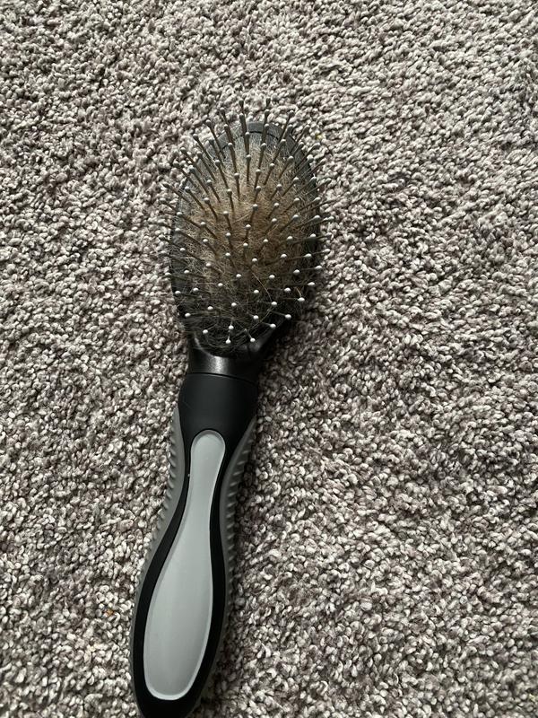 Hair caught from brushing