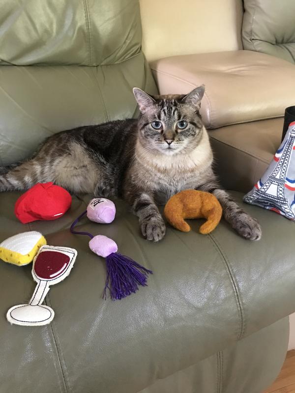 Petco everclean best sale