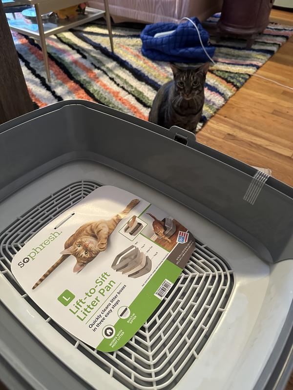 So Phresh Grey White Lift to Sift Cat Litter Pan 22.5 L X 17.25 W X 10.5 H Petco