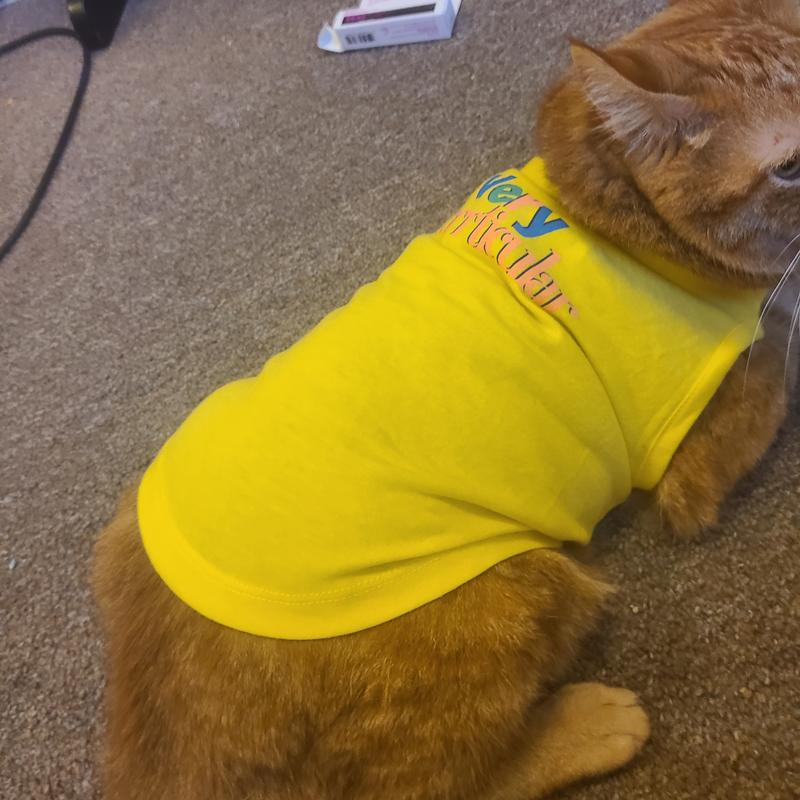 YOULY Cat Tropic Palm Shirt, Small/Medium