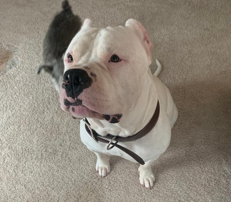 So handsome