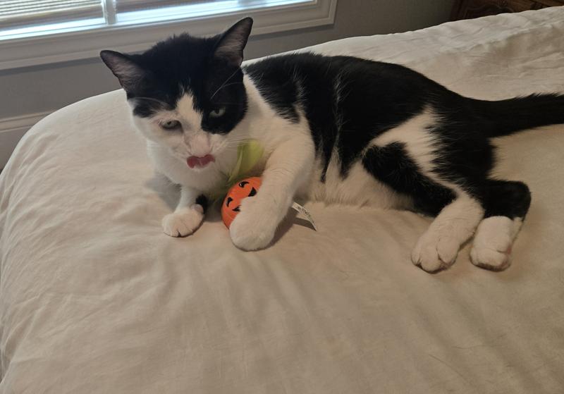 Bobby snuggling with his new toy