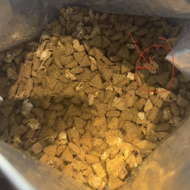 Wellness CORE+ Natural Grain Free Small Breed Dry Dog Food, Original Turkey & Chicken with Freeze Dried Turkey, 4 lbs.