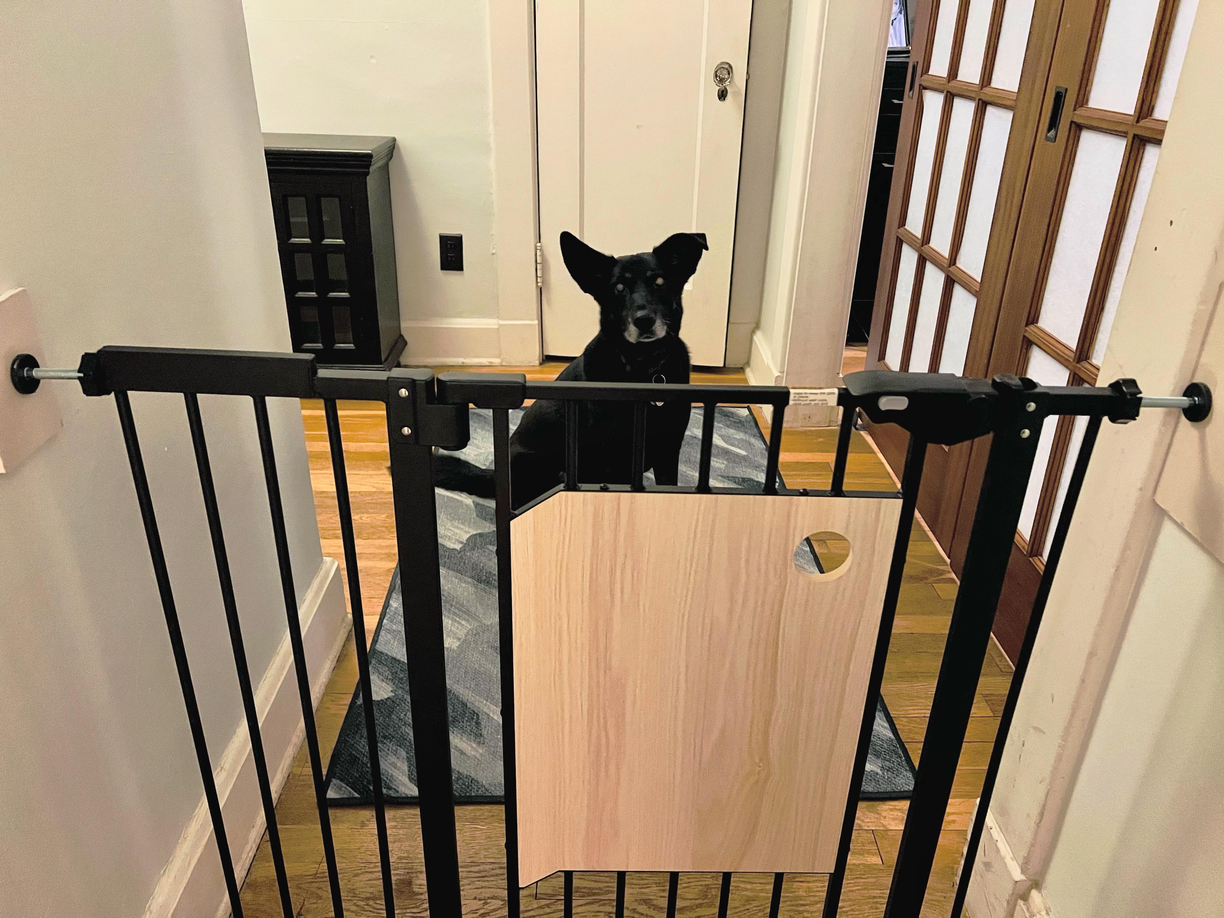 PEARY GATES正規品3点セット PEARY GATES正規品3点セット ☆PEARLY GATES☆ウェア&バッグ&ボールセット