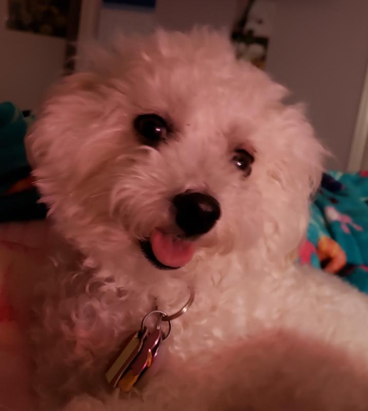 A sweet, beautiful little girl
