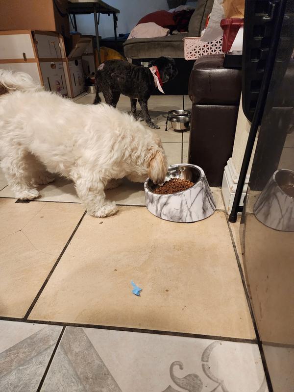 EveryYay Over The Top Marble-Print Food Can Lids for Pets