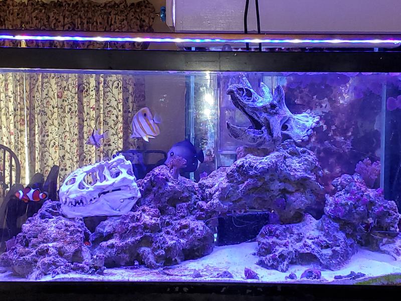 Instant Ocean Reef Crystals Reef Salt 44.8 lbs. Petco