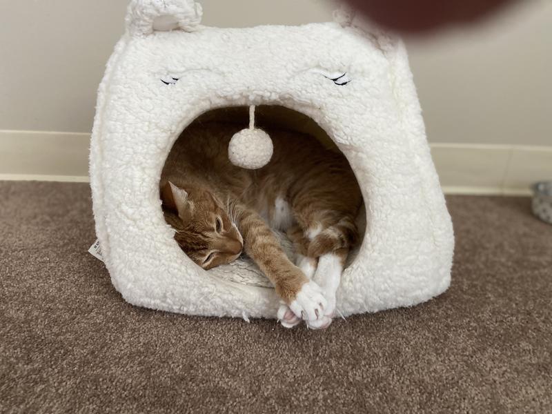 EveryYay Snooze Fest Straw Play Cave Cat Bed, 16.5 L X 14.2 W X 14.5 H