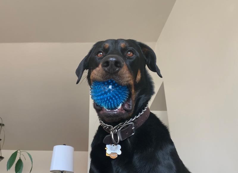 Carries this around everywhere