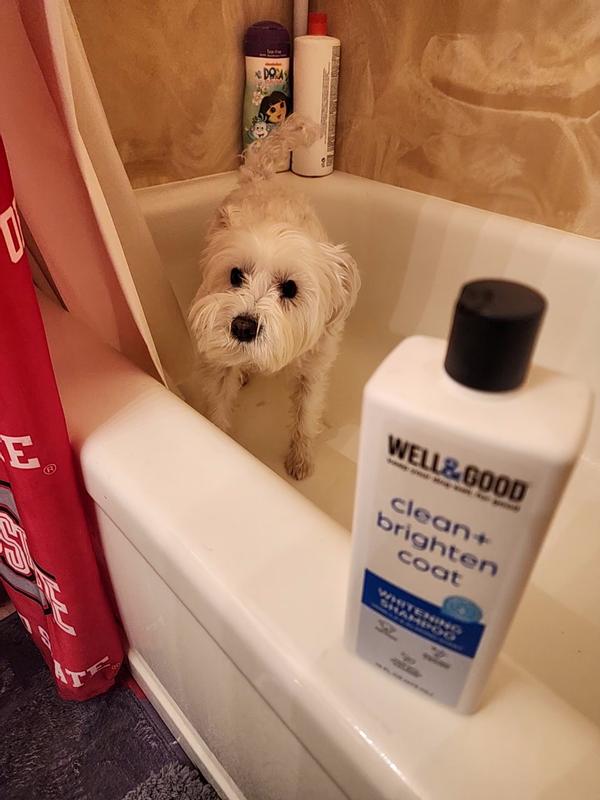 Well and good dog 2024 shampoo