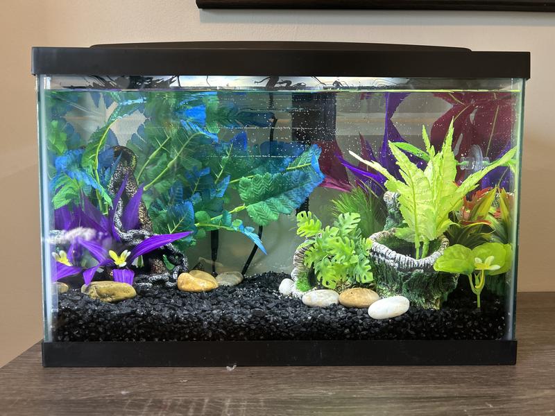 Front of Tank