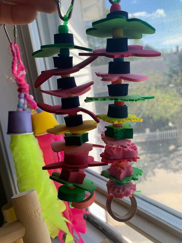 New toy vs two days with fruit loop