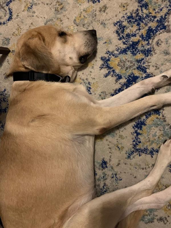 My name is George.