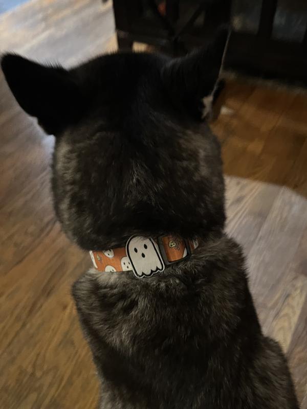 Extra Small Louis Vuitton Cat Collar - Royal Dog Collars - Handmade,  Premium, Designer Inspired