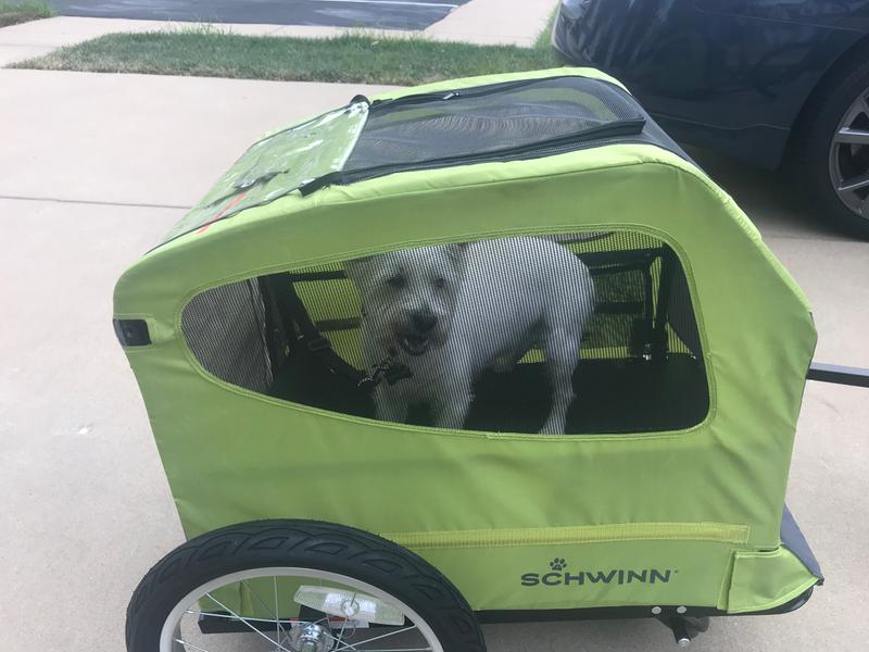 extra large dog trailer for bike