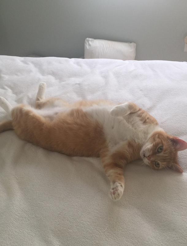 Relaxing after dinner