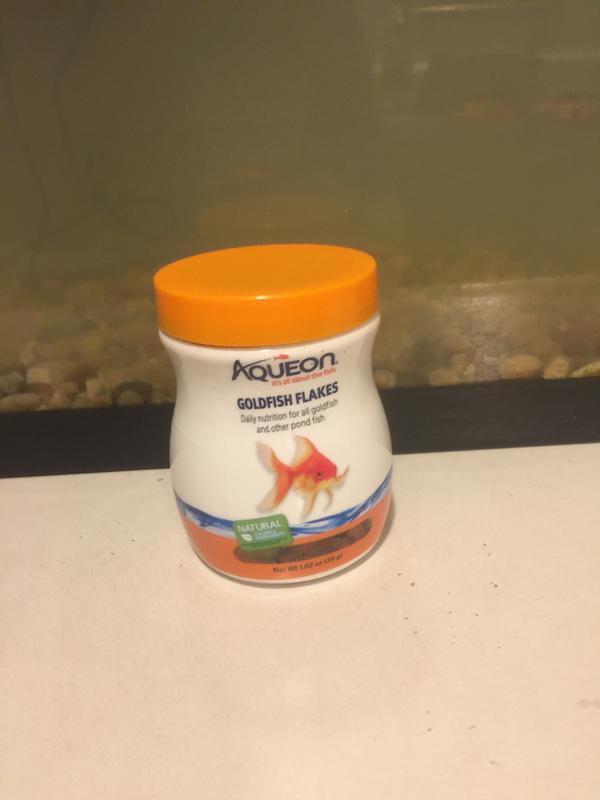 My fish food