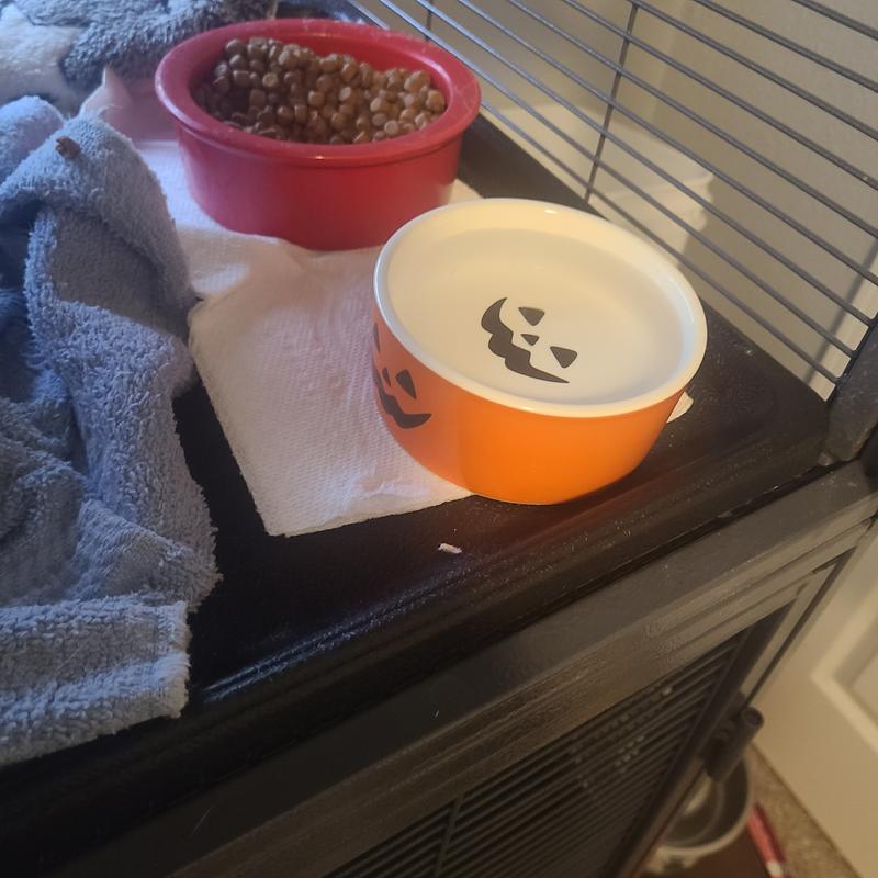 Pumpkin bowl