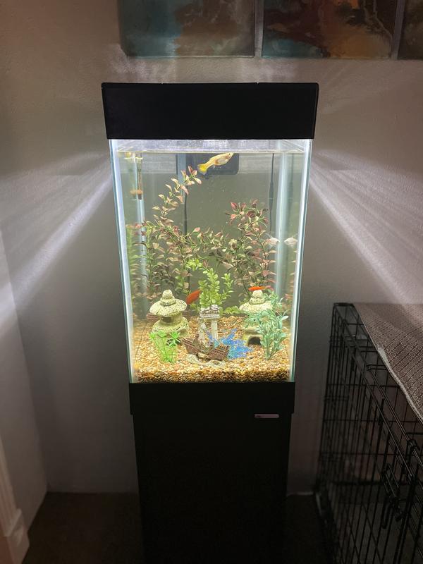 15 gallon store column aquarium petco