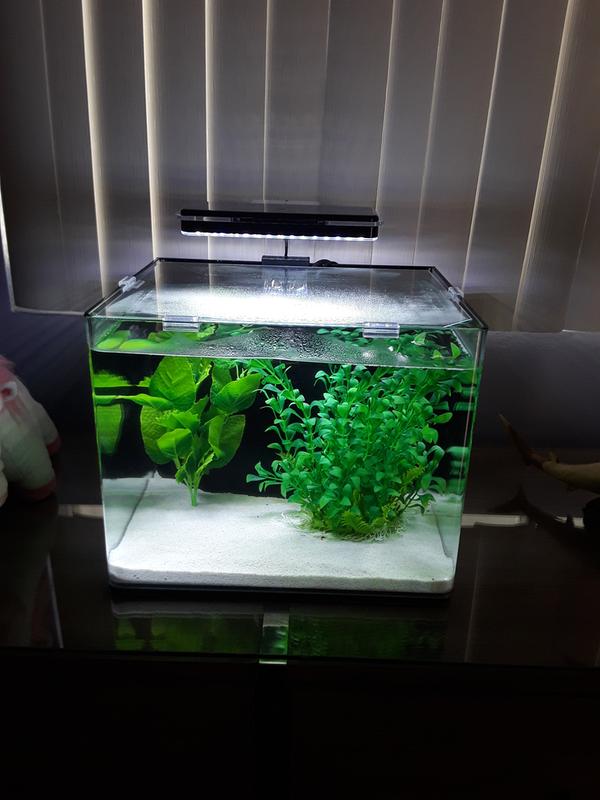 imagitarium 6.8 gallon aquarium