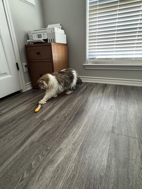 This toy is fun to play with.