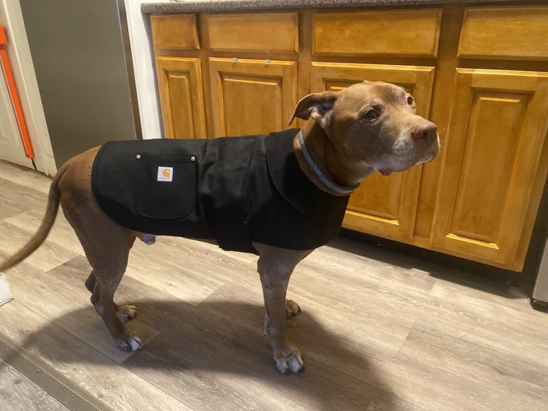 Carhartt Black Chore Coat for Dogs, Small | Petco