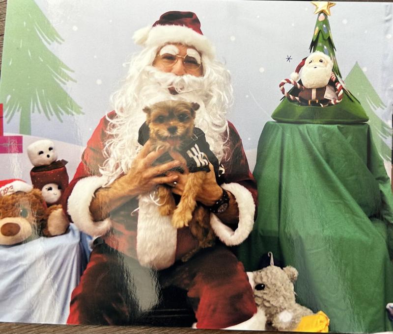 Petco Xmas