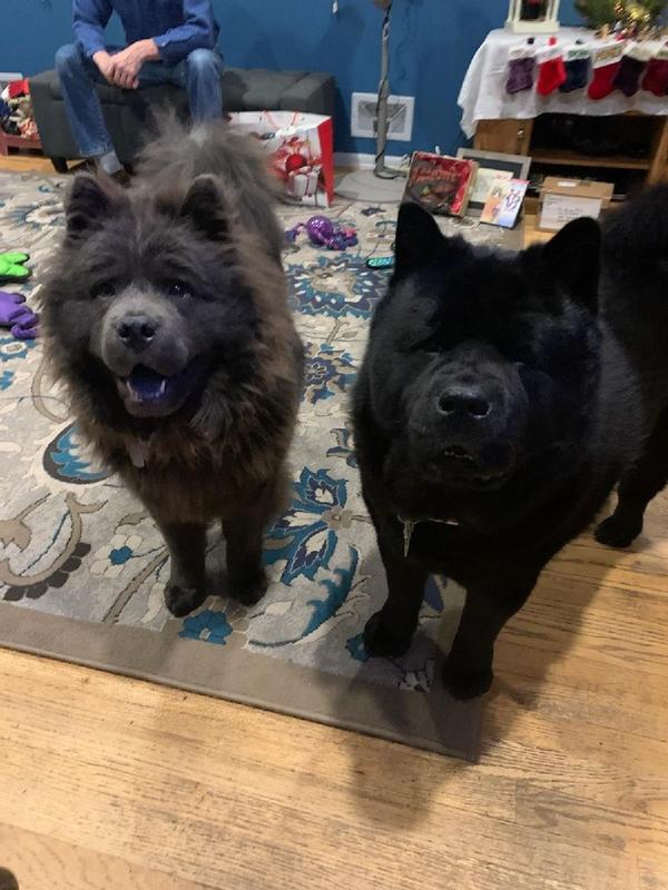 Asher and Titan love their Nothin' to Hide Sticks