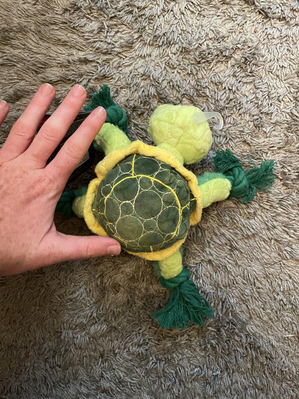 Picture next to hand for reference of size