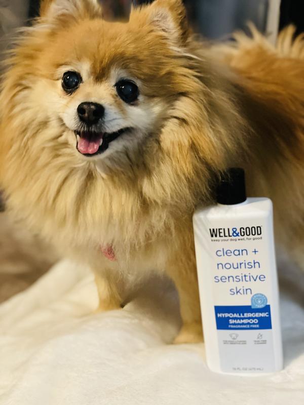 Well Good Hypoallergenic Dog Shampoo 32 fl. oz. Petco