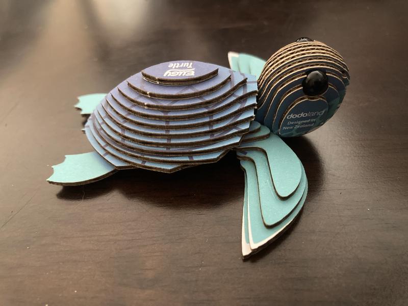 Finished turtle