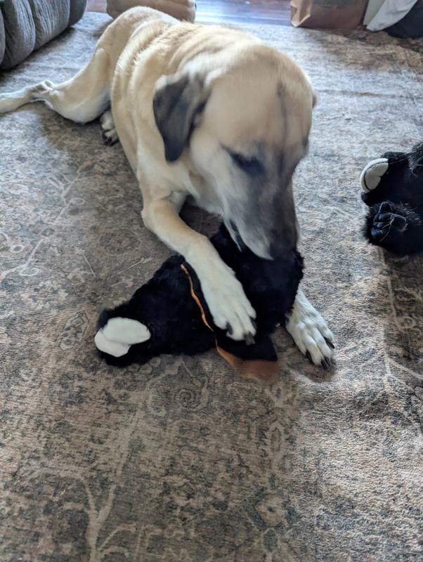 Greta in love immediately