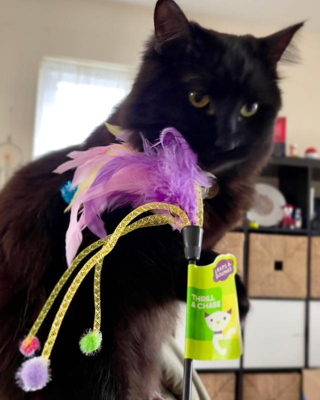 Fun toy!