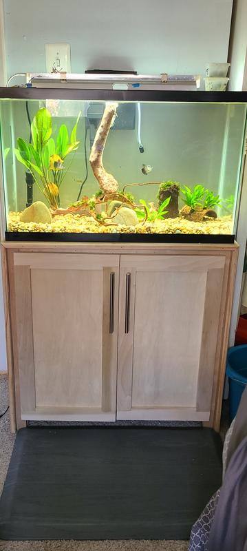 New tank