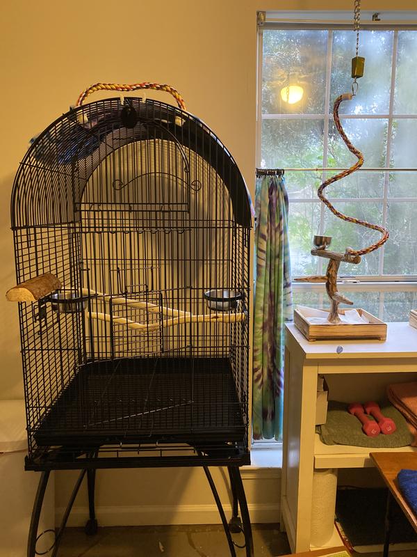 Cockatiel cage with deals stand