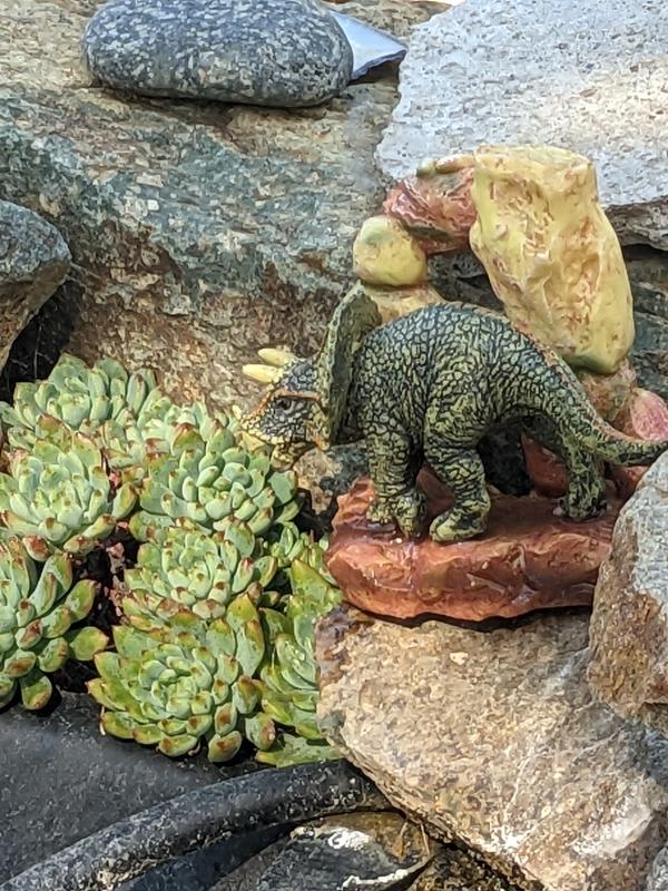 Placed on rocks near succulents, looks like it fits in.