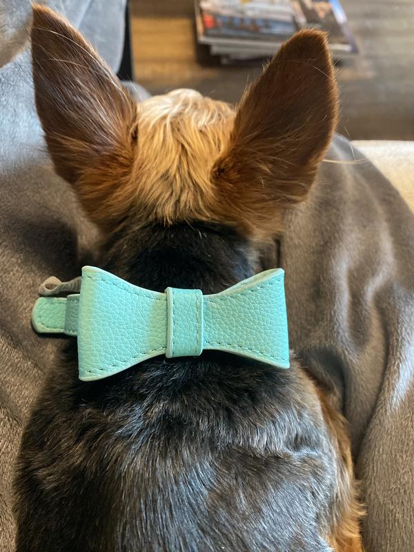 Bond & Co. Teal Leather Bow Tie Dog Collar, XX-Small