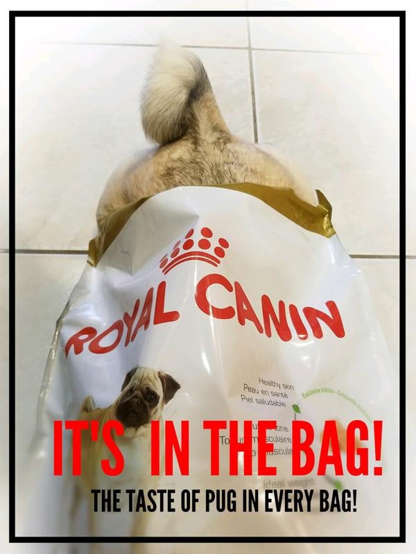Royal Canin Pug Dog Food 75kg