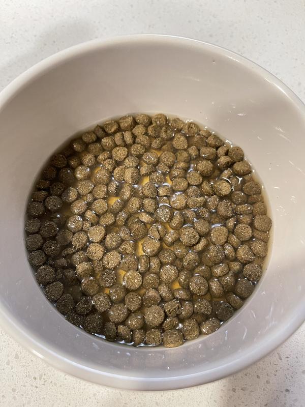 Added it to her kibble