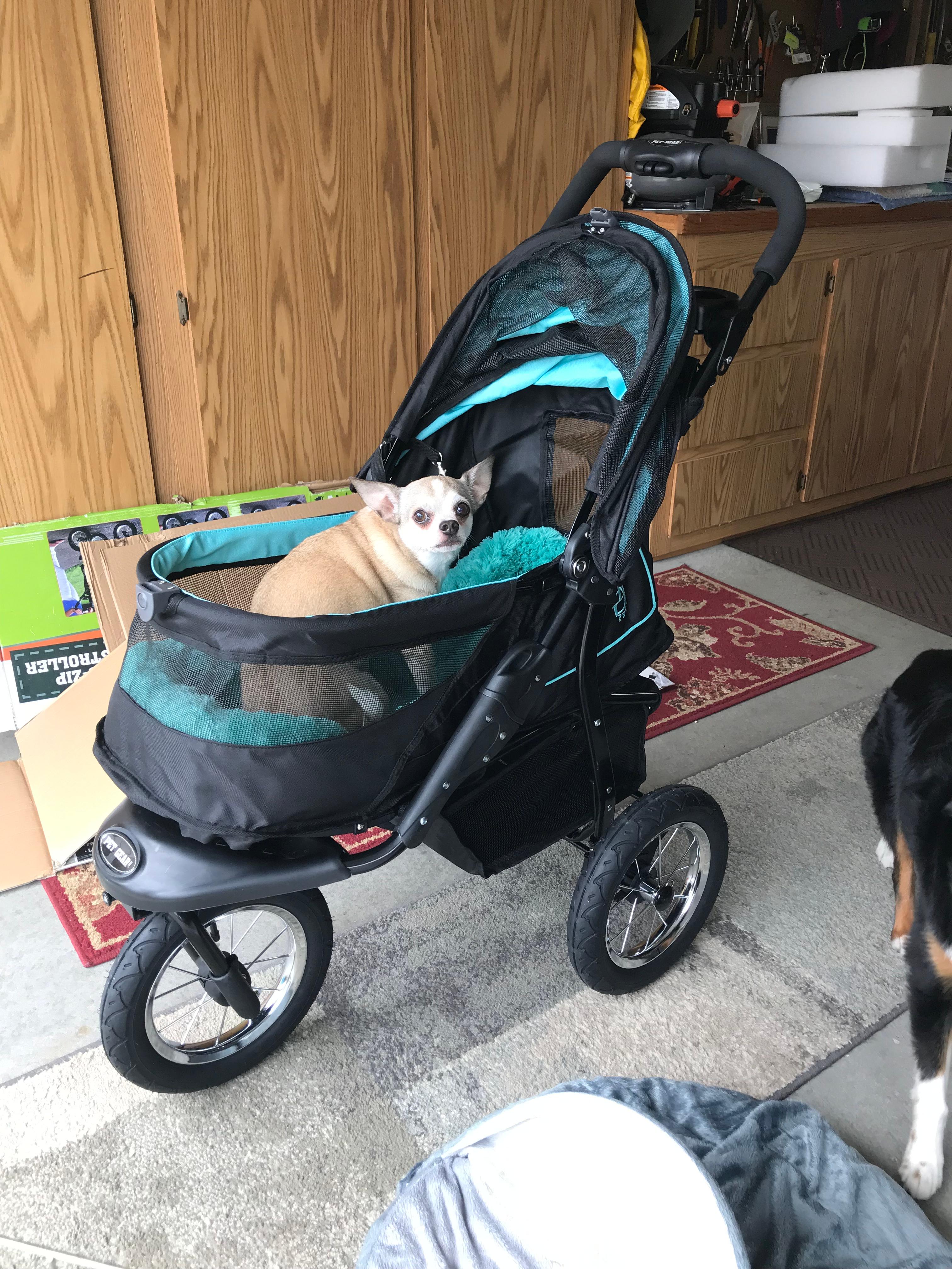 Pet Gear NV No Zip Sky Line Pet Stroller For pets up to 70 lbs. Petco