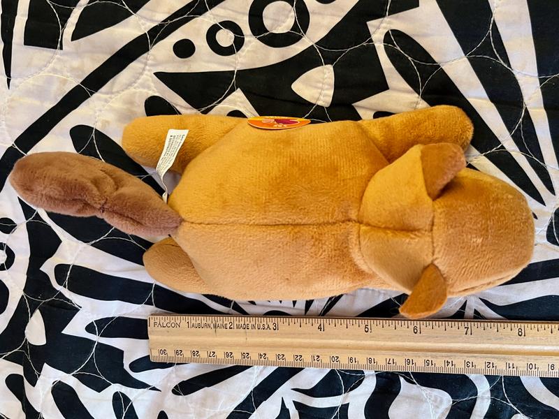 Leaps & Bounds Blind Plush Squirrel Dog Toy, Petco