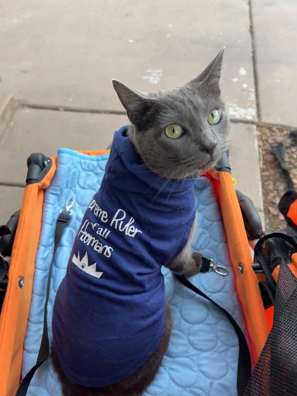 Supreme shop cat sweater